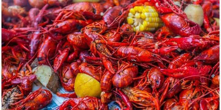 Crawfish Boil at the Brewing Co.